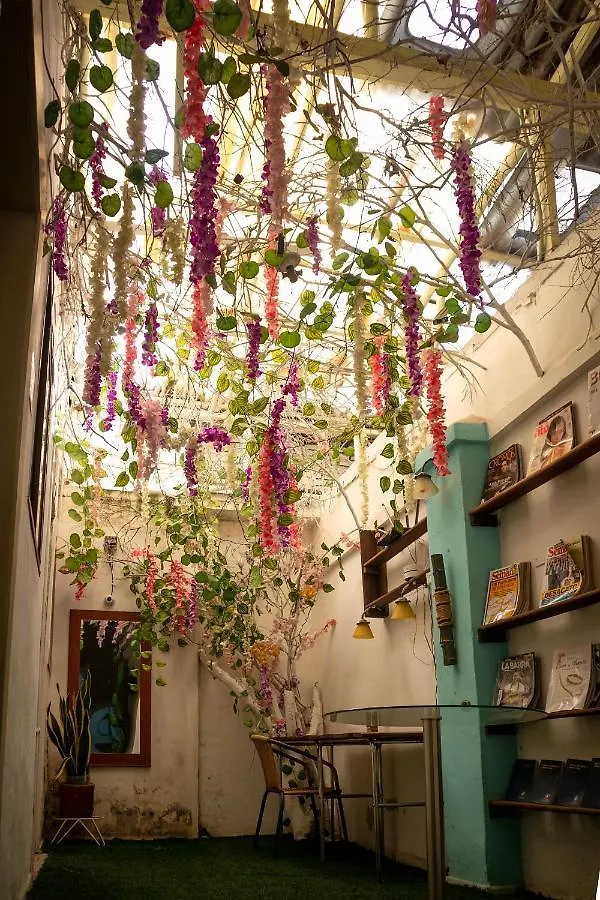 Hostel La Antigua Capsula Cali Hotel Cápsula